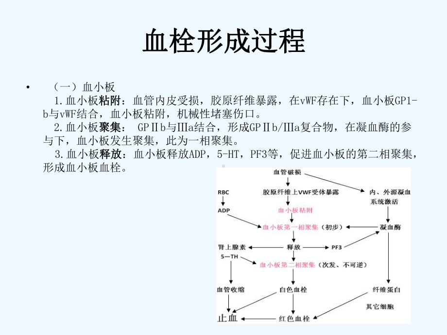 血栓形成及溶栓基本知识大略复习[可修改版ppt]课件.ppt_第3页