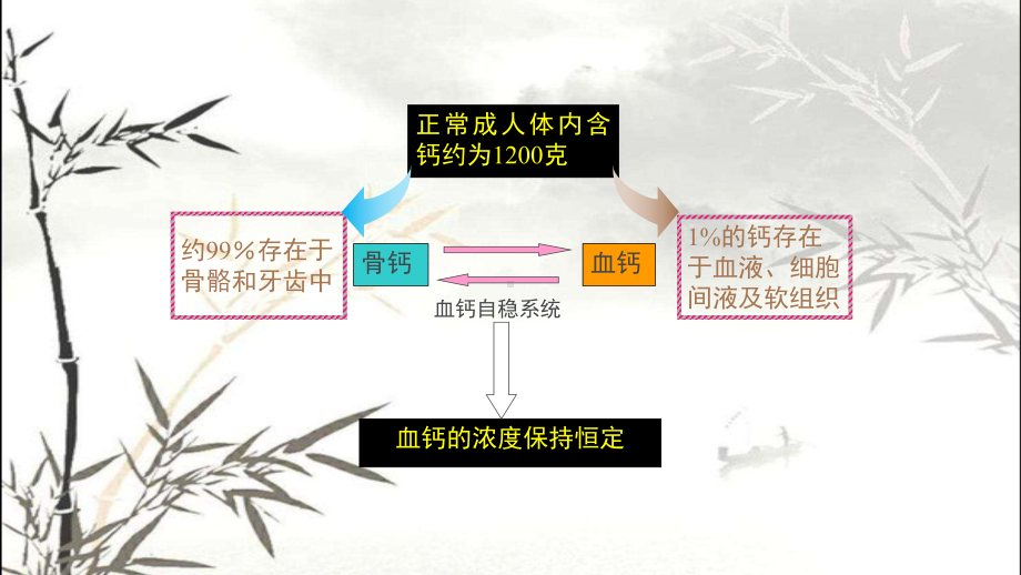 正确认识补钙-PPT课件.ppt_第3页