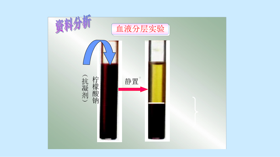 优课《血流的管道-血管》教学课件.pptx_第3页