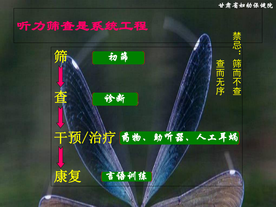 生儿听力筛查流程与操作规范课件PPT.ppt_第3页