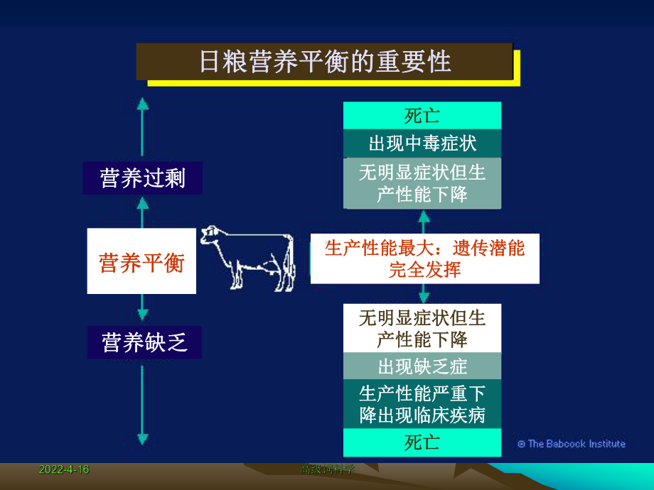 肉牛营养需要课件.pptx_第3页