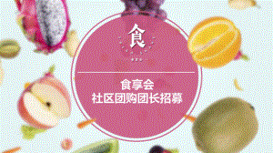 社区团购食品品牌团长招募书案例（精品）课件.pptx