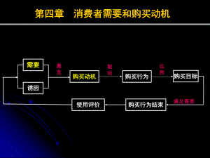 消费者行为学消费者的需要和动机课件.pptx