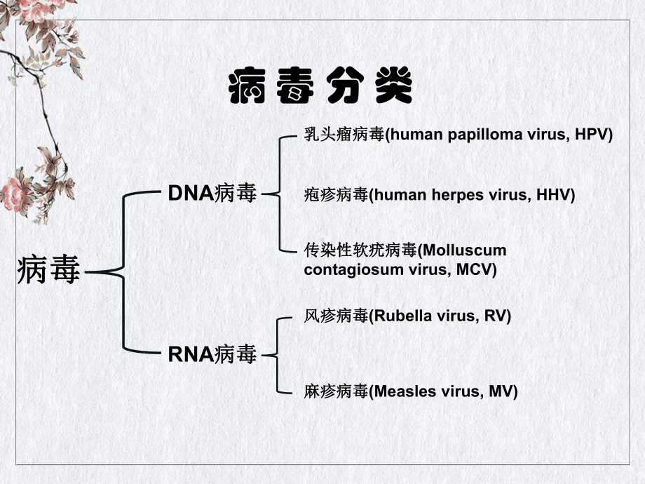 病毒性及细菌性皮肤病讲课PPT课件.ppt_第3页