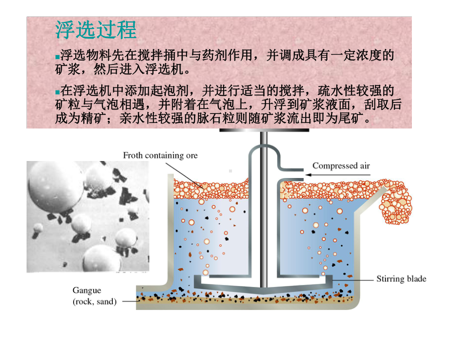 浮游选煤浮选课件.pptx_第3页