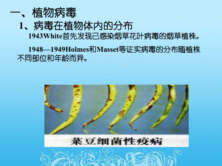 第6章B-植物脱毒课件.ppt_第2页