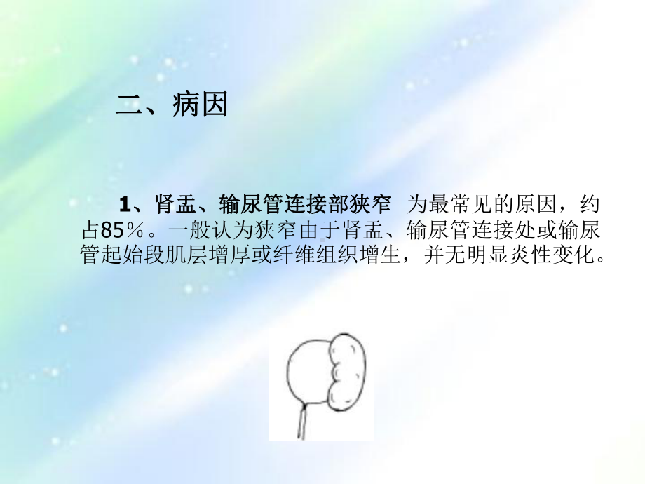 肾积水的护理ppt课件.ppt_第3页