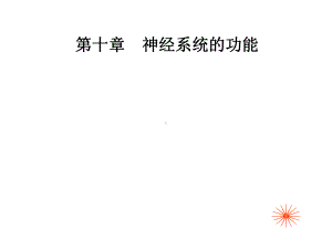 生理学课件第10章神经系统.ppt