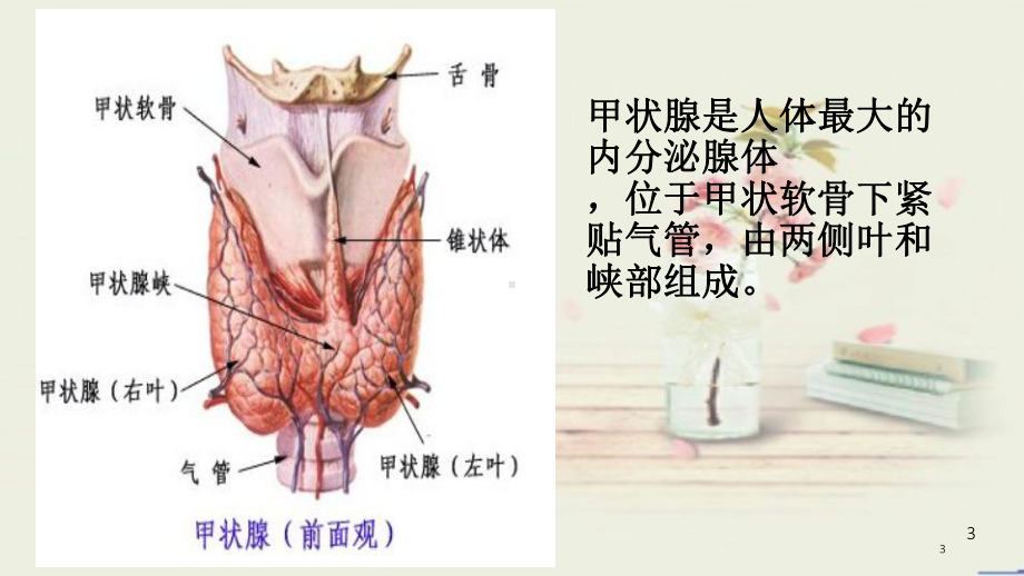 甲状腺功能亢进症病人的护理PPT演示幻灯片课件.ppt_第3页