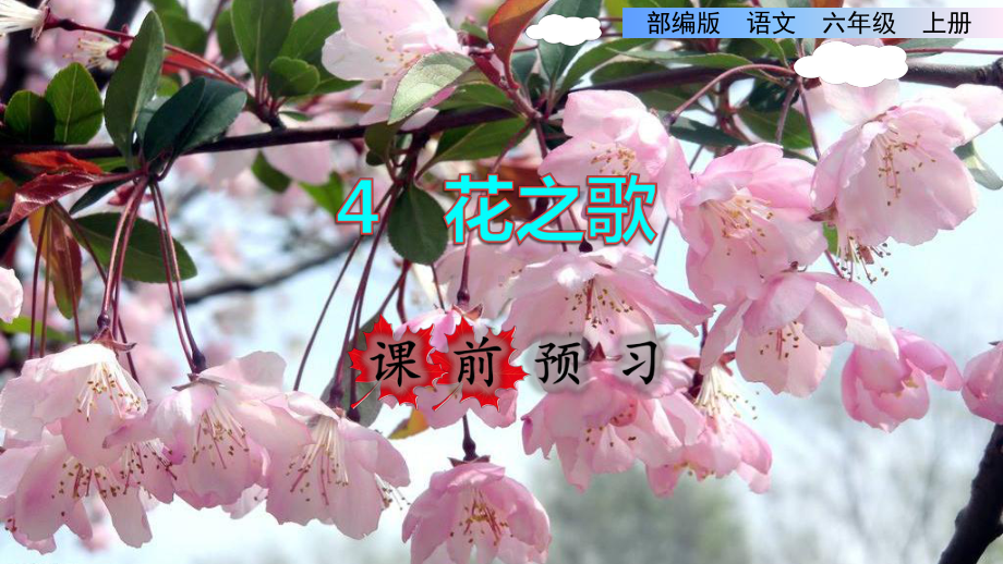 花之歌PPT课件（部编版）.pptx_第1页