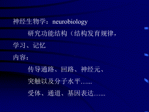 神经分子生物学课件.pptx