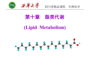 生物化学第十脂肪代谢课件.pptx