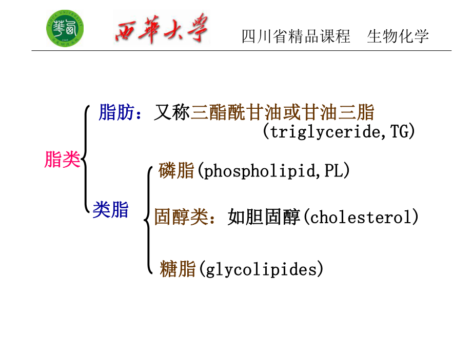 生物化学第十脂肪代谢课件.pptx_第3页