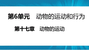 苏教版八年级生物上册-第十七章第一节-动物运动的形式和能量供应导学课件(共15张PPT).ppt