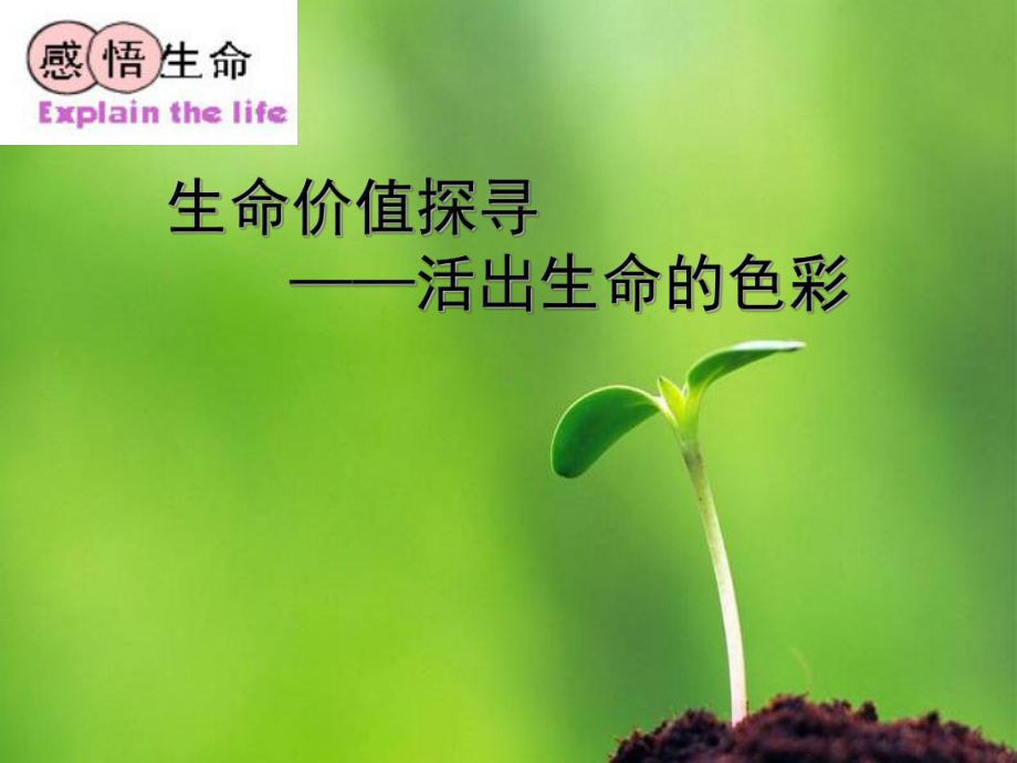 生命价值探寻PPT课件.ppt_第1页