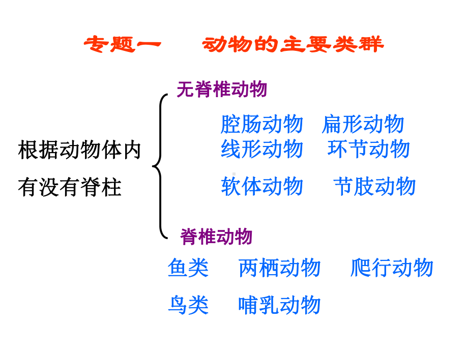 第五单元-生物圈中的其他生物汇总课件.ppt_第3页