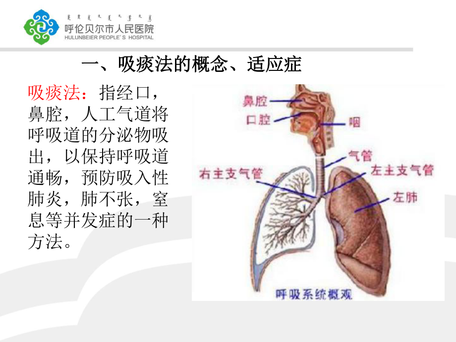 经口或鼻吸痰术课件.pptx_第3页