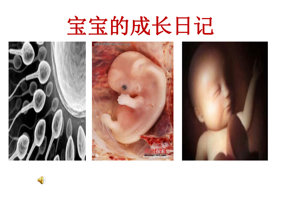 生命多么可贵.课件.ppt_第2页