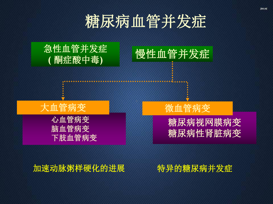 舒洛地特治疗糖尿病肾病-ppt课件.ppt_第3页