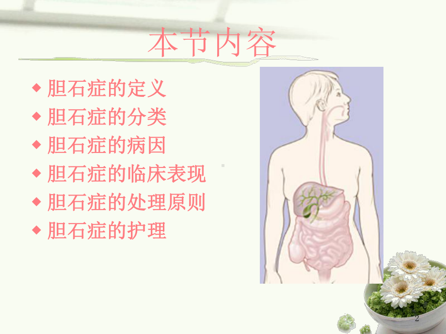 肝胆疾病的护理PPT课件.ppt_第2页