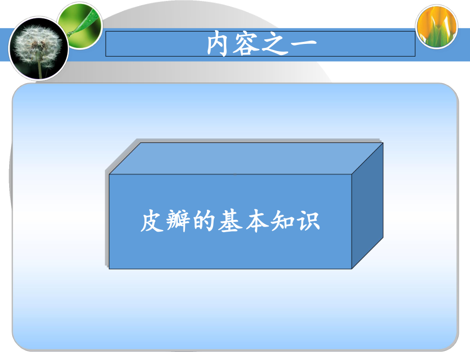 皮瓣知识-ppt课件.ppt_第3页