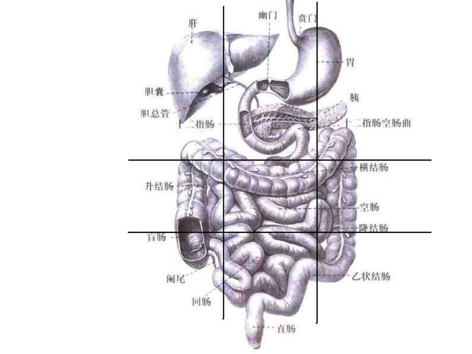 肠结核、结核性腹膜炎课件.pptx_第3页