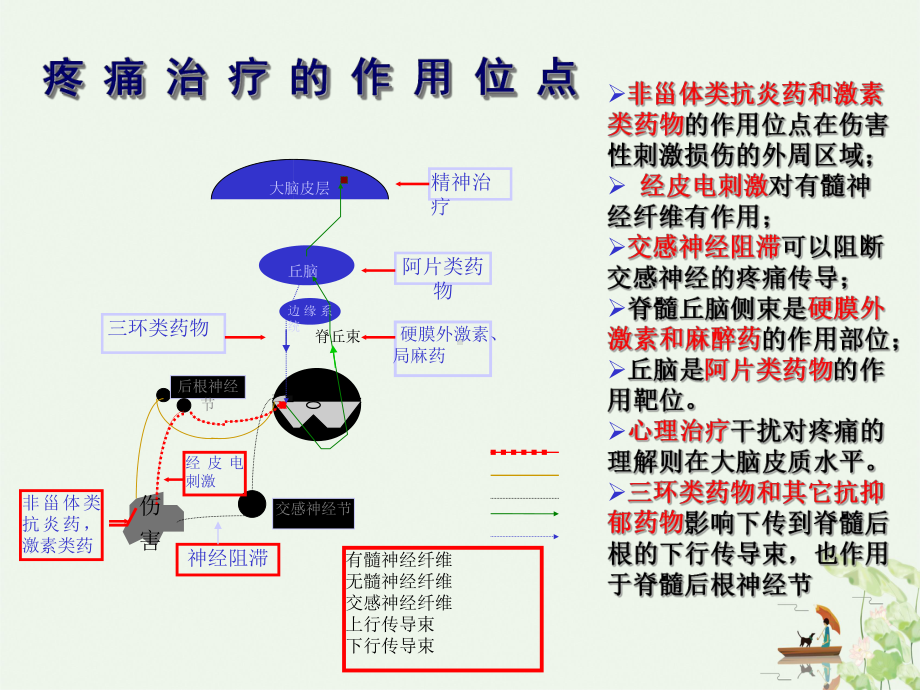 疼痛药物治疗非甾体抗炎药NSAIDs研究进展及其再评价课件PPT.pptx_第3页