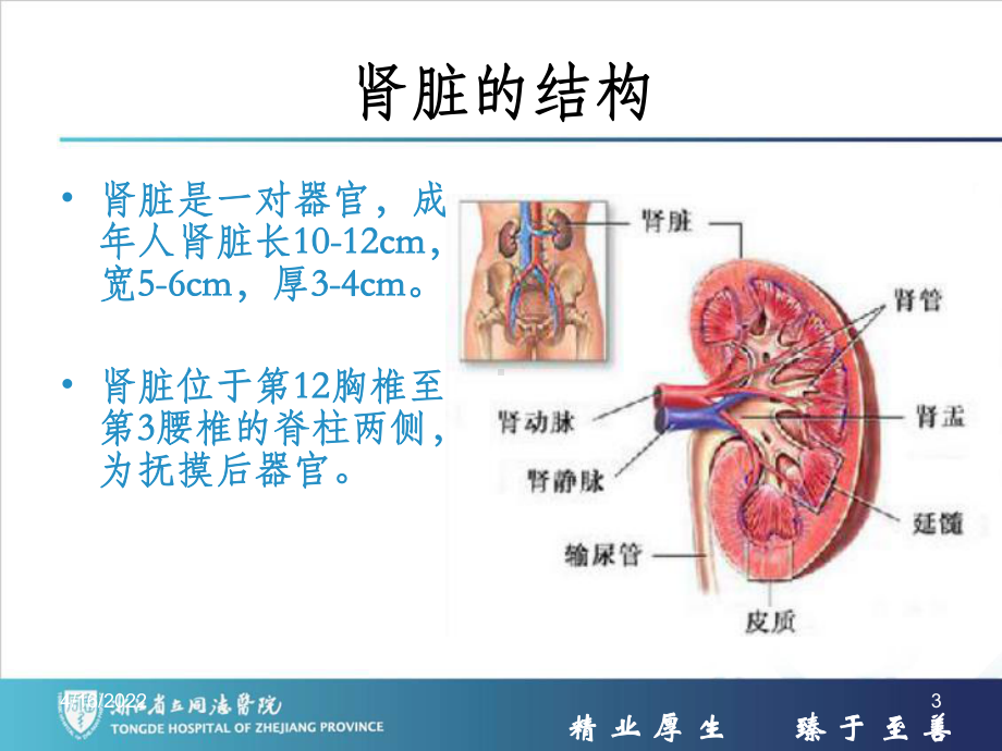 肾内科护理常规PPT课件.ppt_第3页