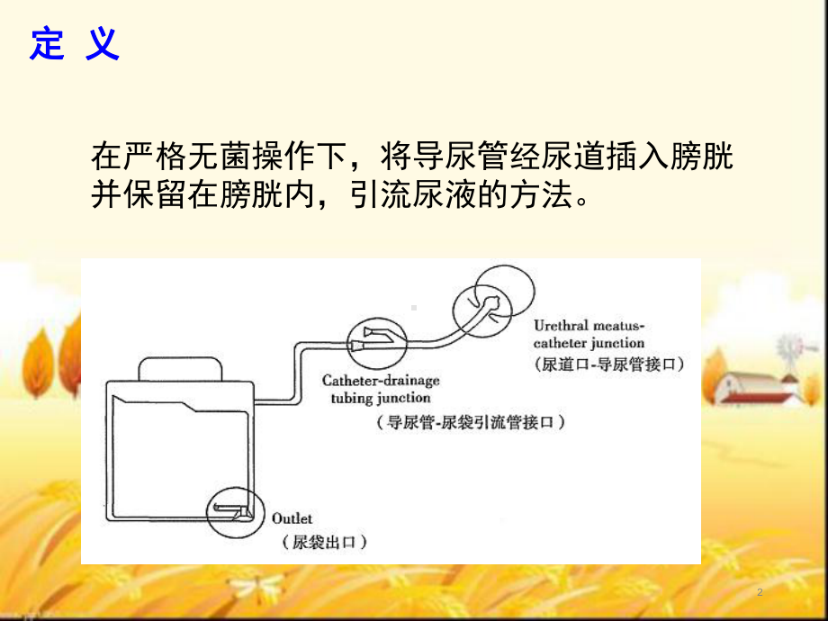 留置尿管漏尿原因分析及处理-PPT课件.ppt_第2页