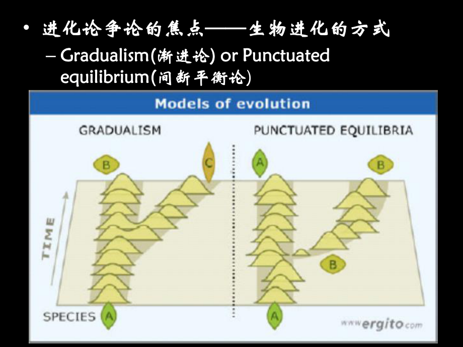 生物多样性及其分类课件.pptx_第3页