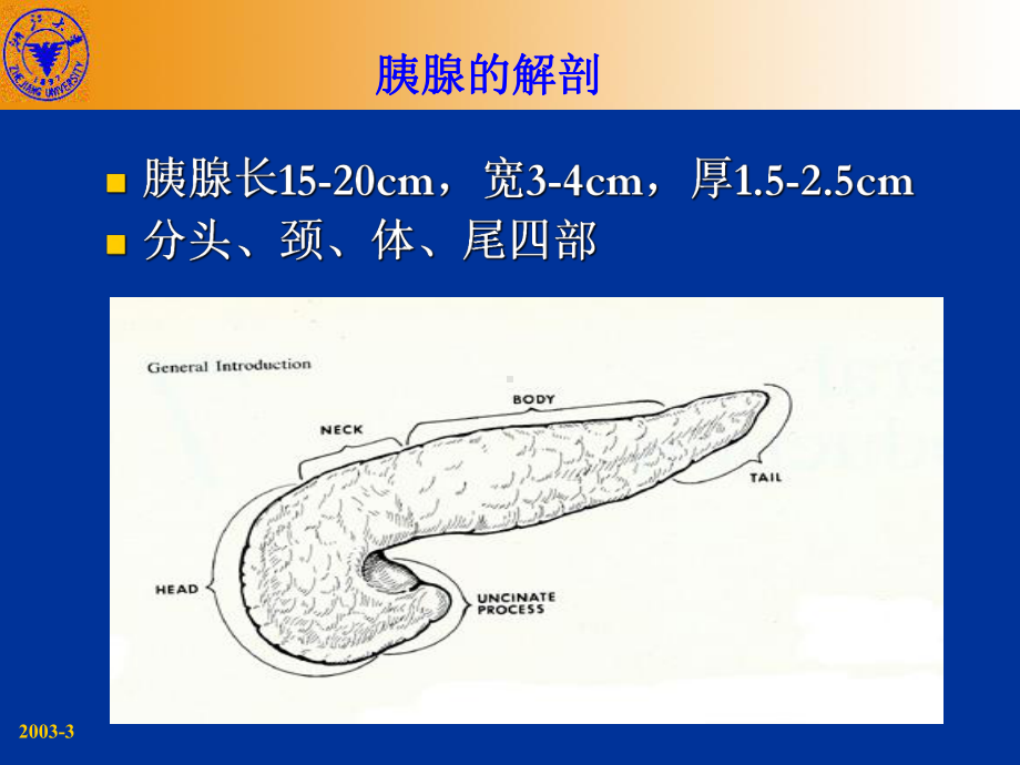 胰腺疾病PPT课件.ppt_第3页