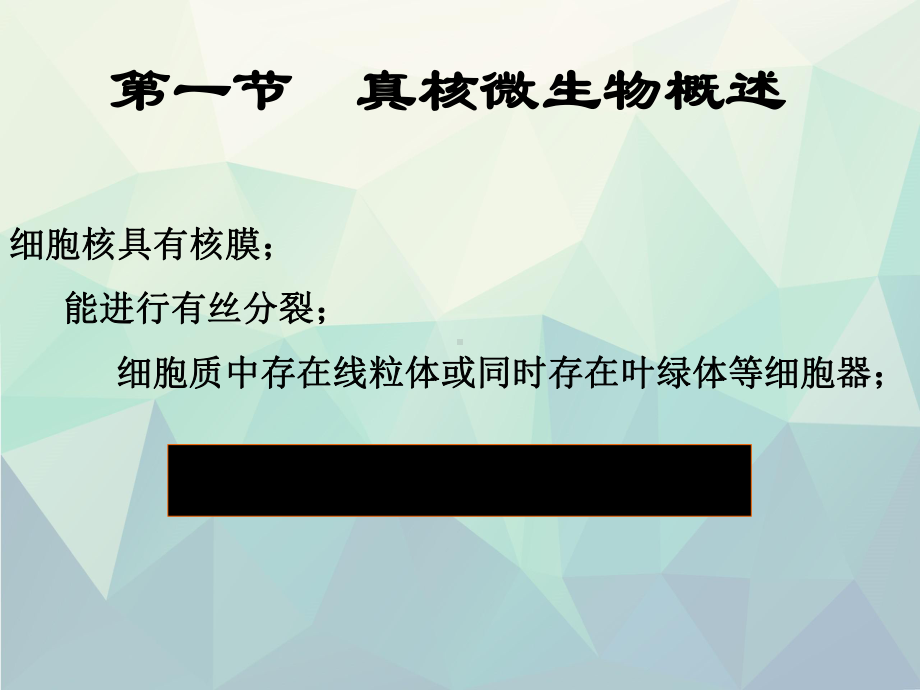 第三章-真核微生物的形态、构造和功能课件.ppt_第2页