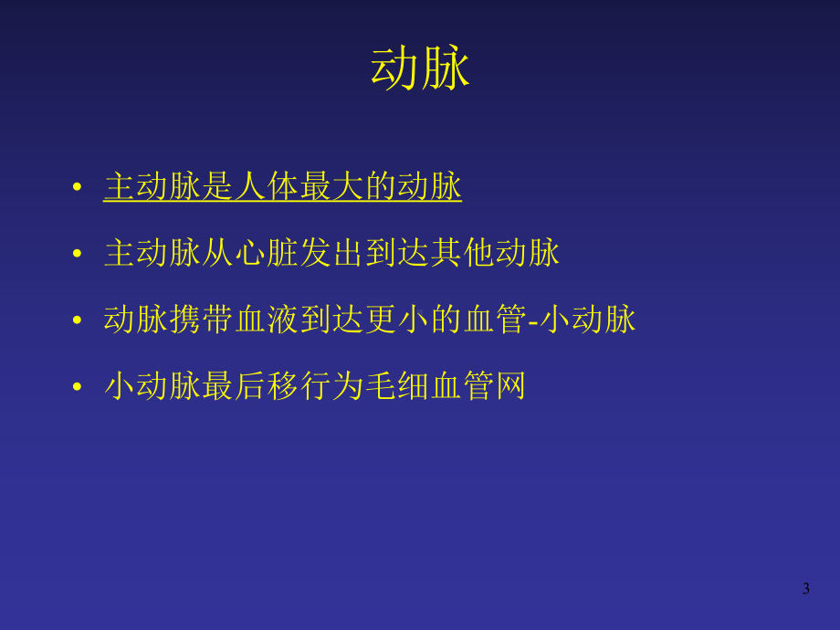 脑血管解剖27981课件.ppt_第3页