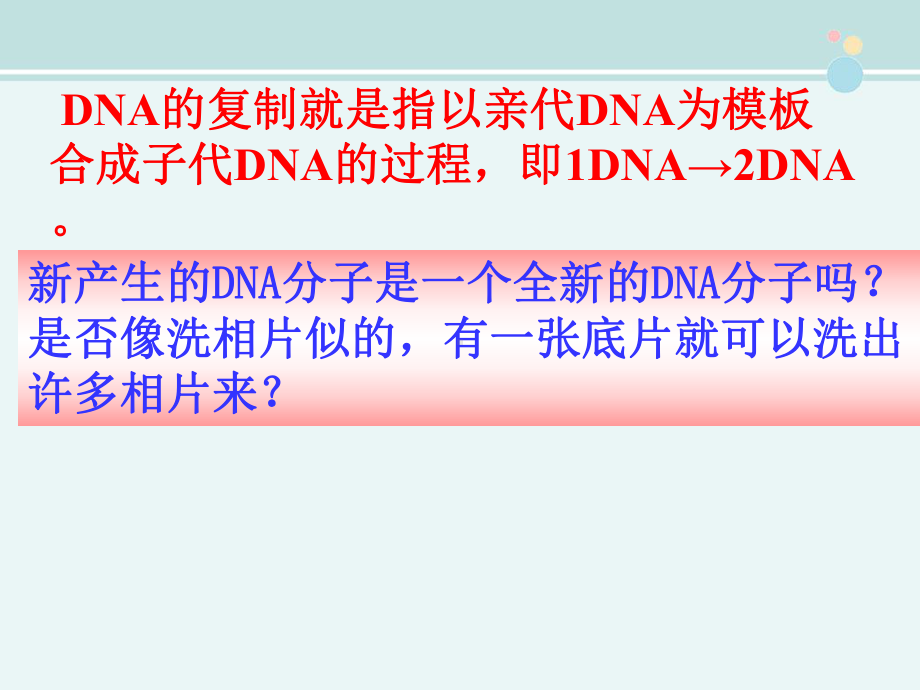 第三节《DNA的复制》-完整版PPT课件.ppt_第3页