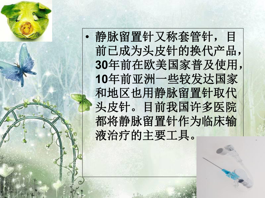 留置针的护理课件.ppt_第2页