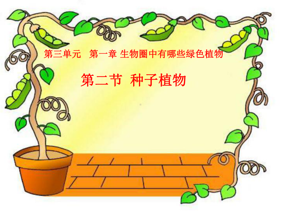 第二节种子植物课件.ppt_第3页