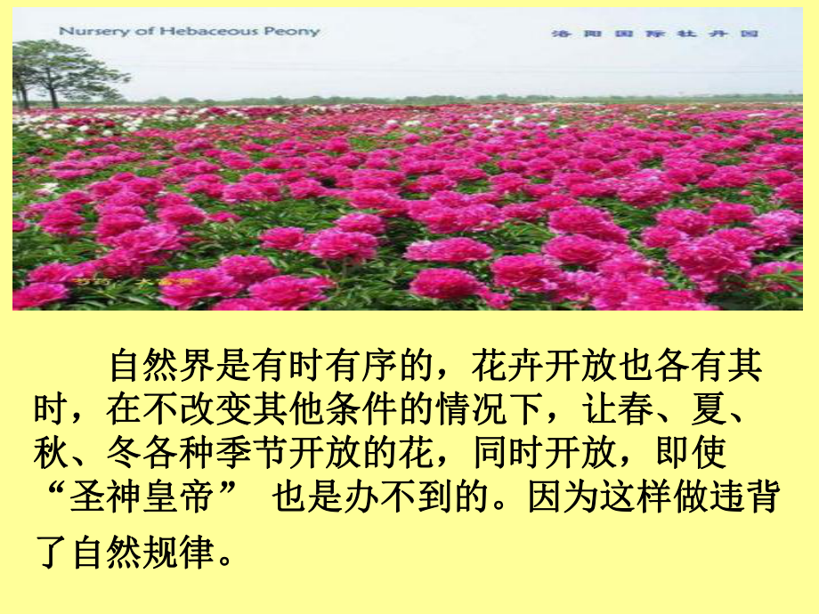 第二课物质运动与人生行动(下)课件.ppt_第3页