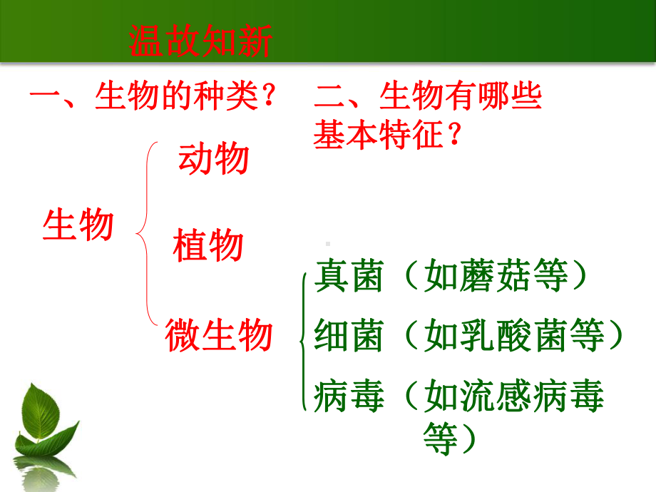 生物的生活环境课件.pptx_第1页