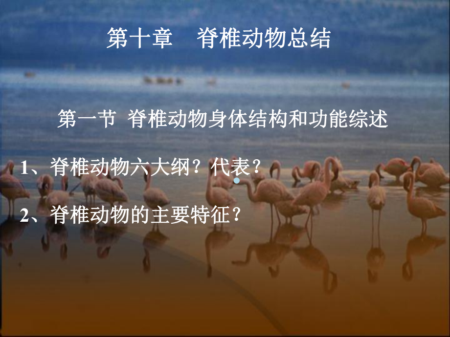 脊椎动物总结课件.ppt_第1页