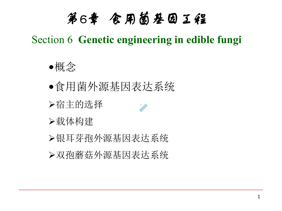 第6章食用菌的基因工程课件.ppt_第1页