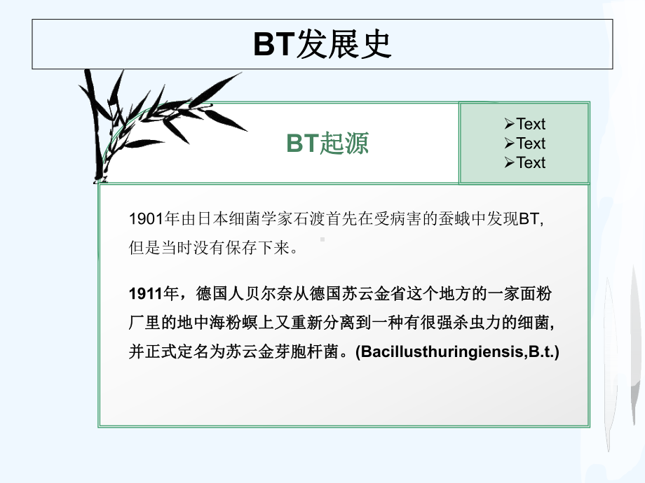 芽孢杆菌综述课件.pptx_第2页