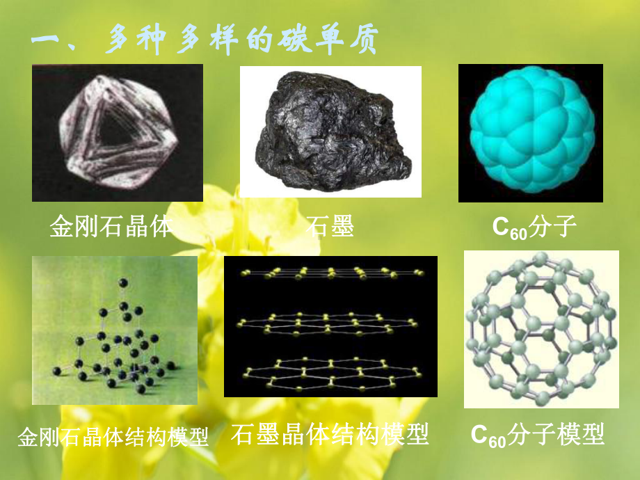 碳的多样性PPT教学课件.ppt_第3页