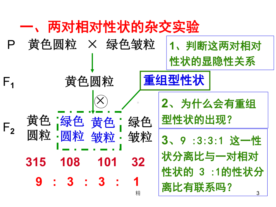 自由组合定律一轮总复习课件..ppt_第3页