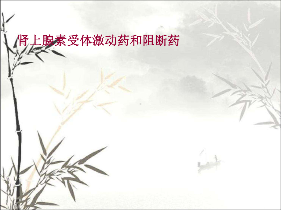 肾上腺素受体激动药和阻断药-PPT课件.ppt_第1页