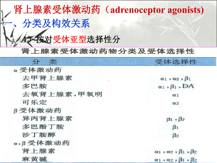 肾上腺素受体激动药和阻断药-PPT课件.ppt_第3页