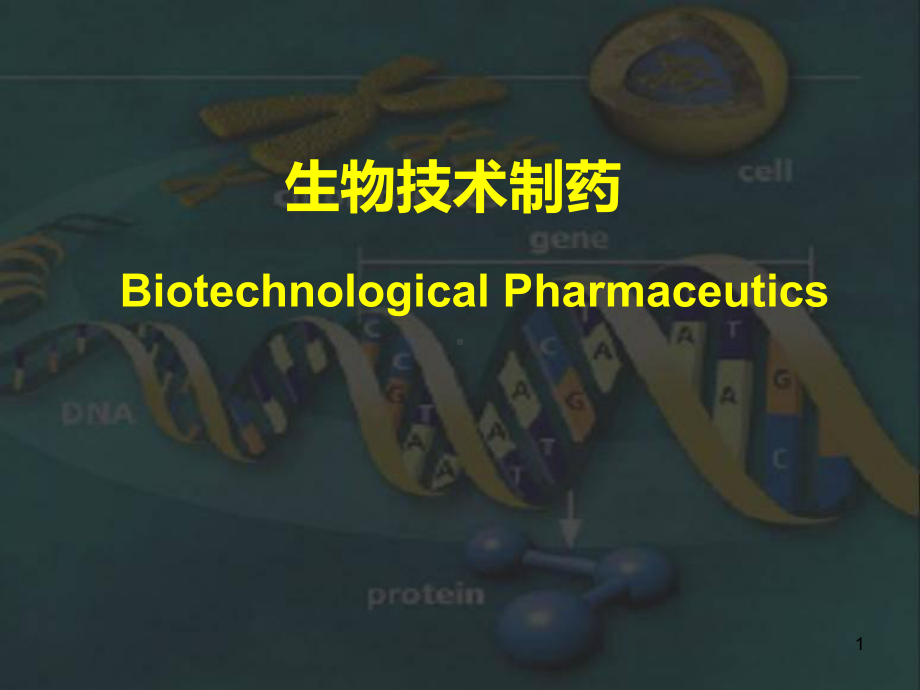 生物技术制药基础PPT课件.ppt_第1页