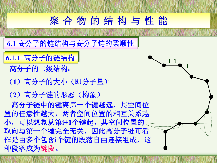 聚合物的结构与性能课件.pptx_第3页