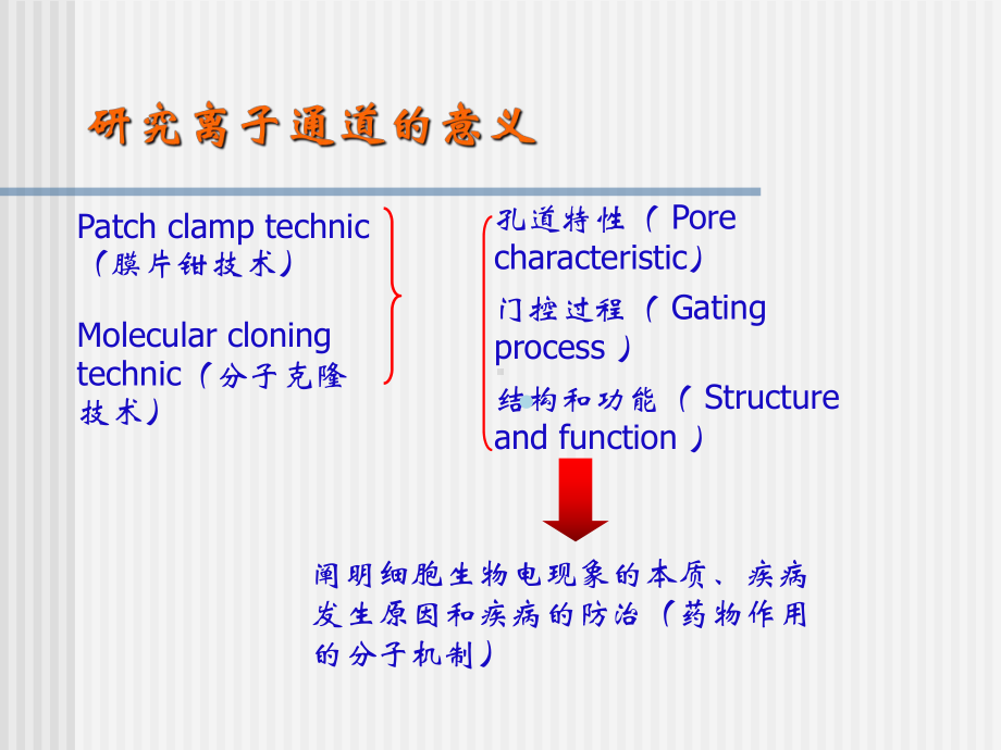 离子通道概论(心血管系统药理)课件.ppt_第3页