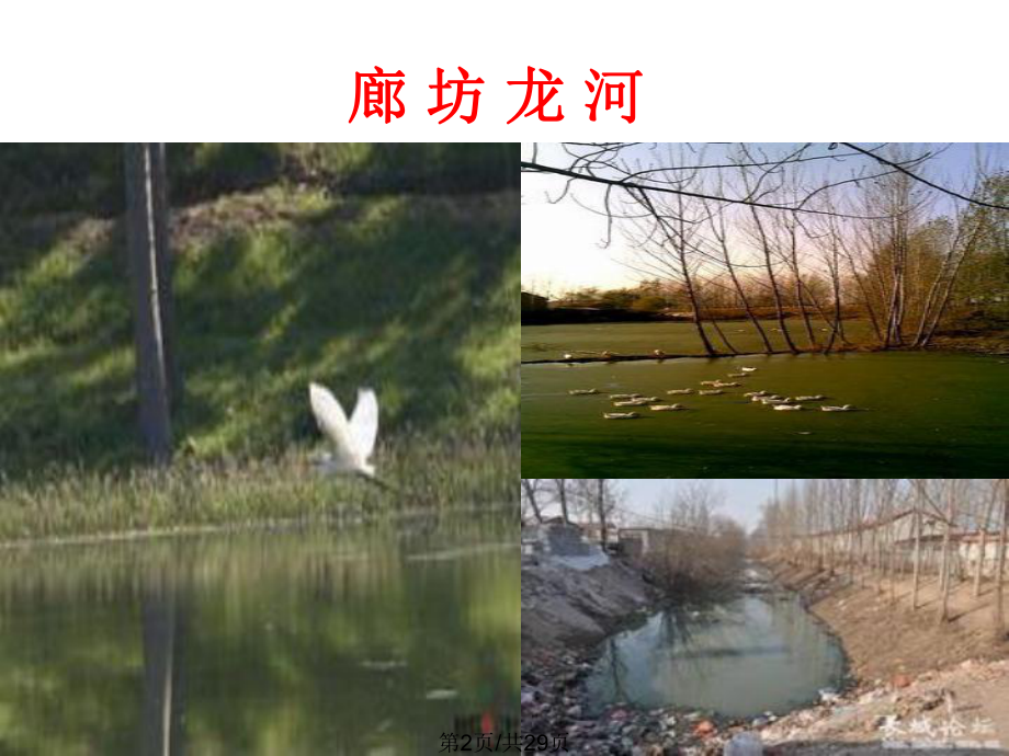 生态系统稳定性北师大版课件.pptx_第2页