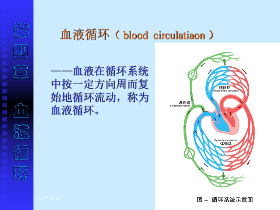 生理学-血液循环课件.pptx_第3页